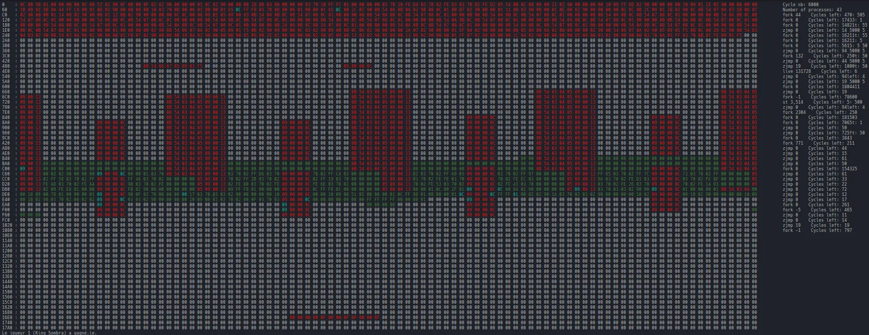 Arena visualizer