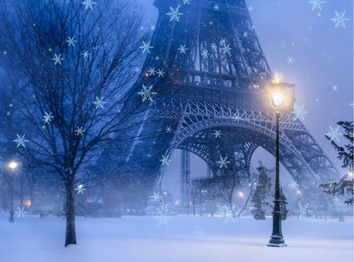 Snow particles