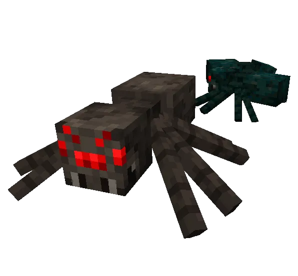 Spider